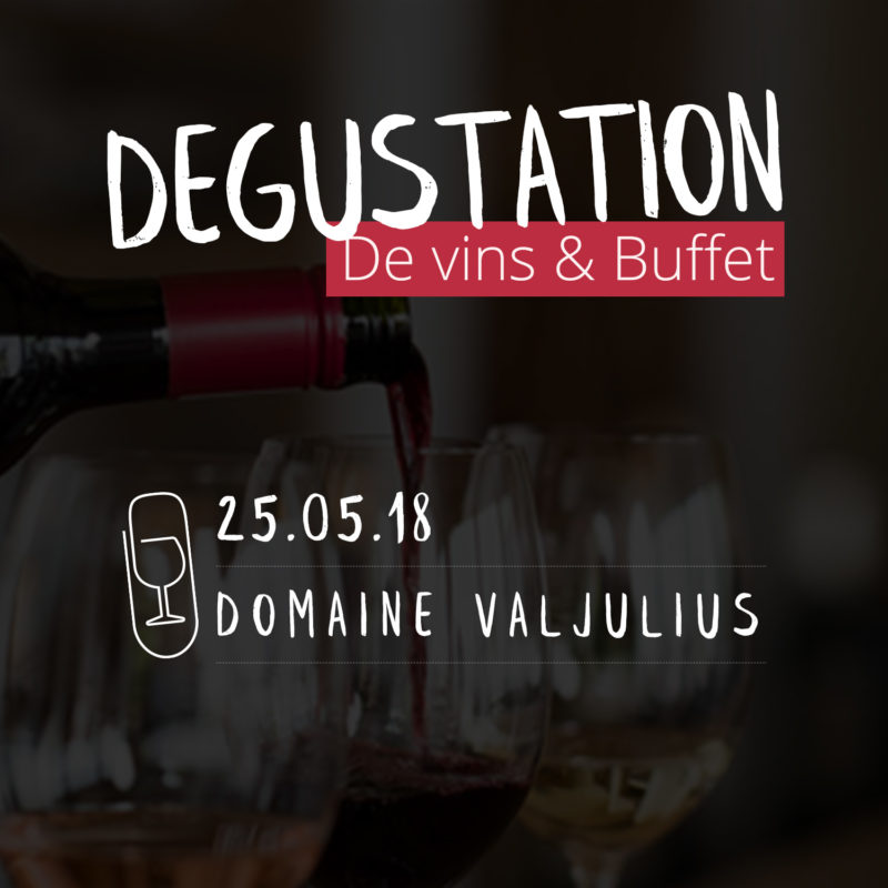 dégustation de vins