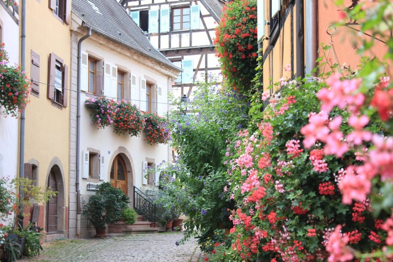 Route des Vins Eguisheim