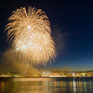 Feu d'artifice pour le Nouvel An de Bâle