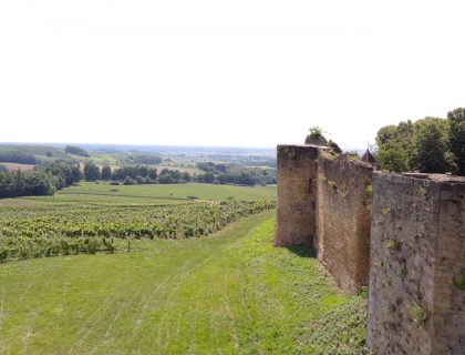 vin Jura Chateau Arlay