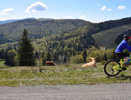 233006091-site-vtt-ffc-hautes-vosges-dalsace-4-1600x900