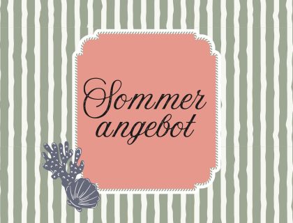 Offre ete en DE